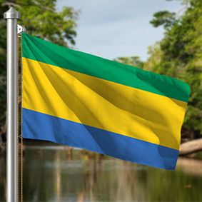 Hoist flag