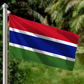 Hoist flag