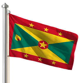 Hoist flag