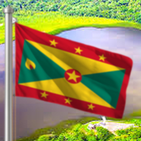 Hoist flag