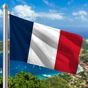 Hoist flag