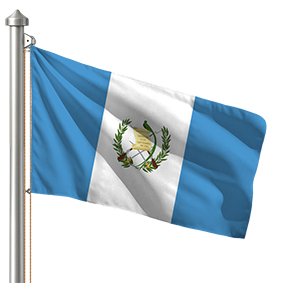 Hoist flag