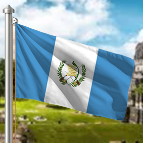 Hoist flag