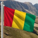 Hoist flag