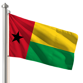 Hoist flag