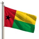 Hoist flag