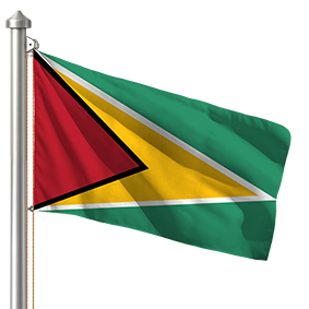 Hoist flag