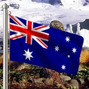 Hoist flag