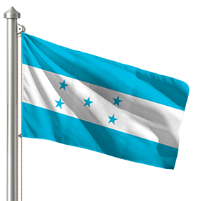 Hoist flag