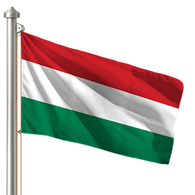 Hoist flag