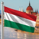 Hoist flag