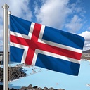 Hoist flag