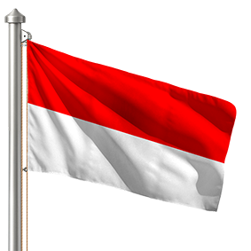 Hoist flag
