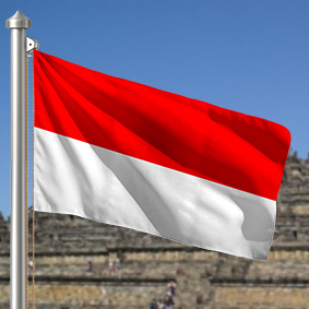 Hoist flag