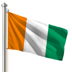 Hoist flag