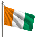 Hoist flag