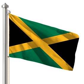 Hoist flag
