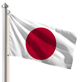Hoist flag