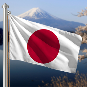 Hoist flag