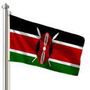Hoist flag