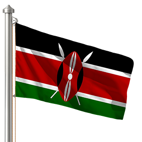 Hoist flag