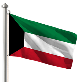 Hoist flag