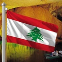 Hoist flag