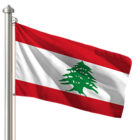 Hoist flag