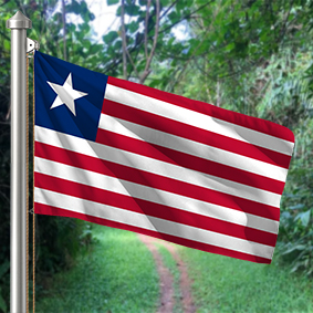 Hoist flag