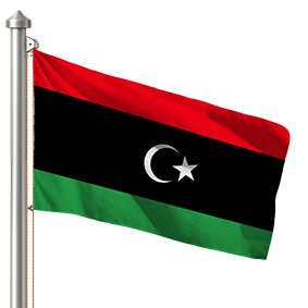 Hoist flag