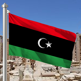Hoist flag