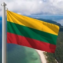Hoist flag