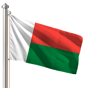 Hoist flag