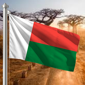 Hoist flag