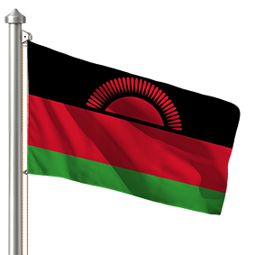 Hoist flag