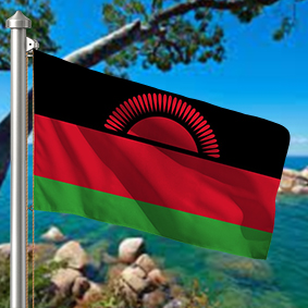 Hoist flag