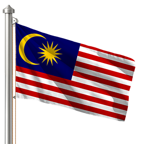 Hoist flag