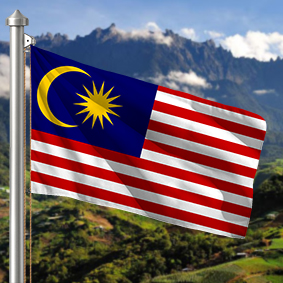Hoist flag