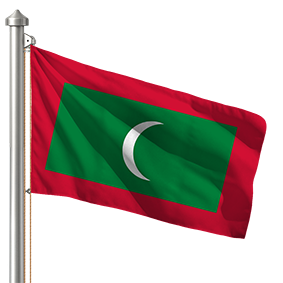 Hoist flag