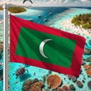 Hoist flag