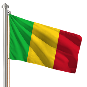 Hoist flag