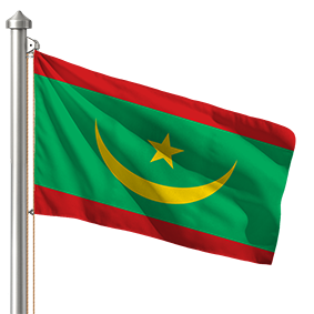 Hoist flag