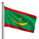 Hoist flag