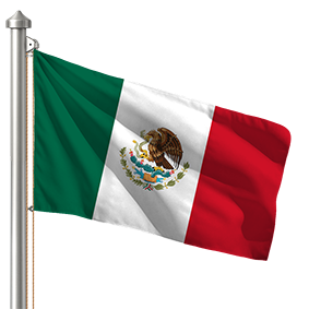 Hoist flag