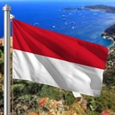 Hoist flag