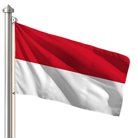 Hoist flag