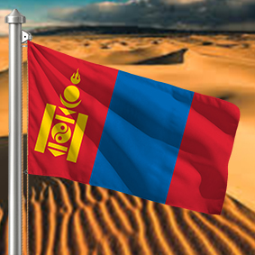 Hoist flag