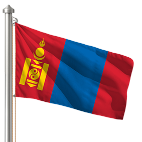 Hoist flag