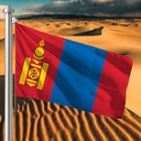 Hoist flag