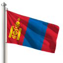 Hoist flag